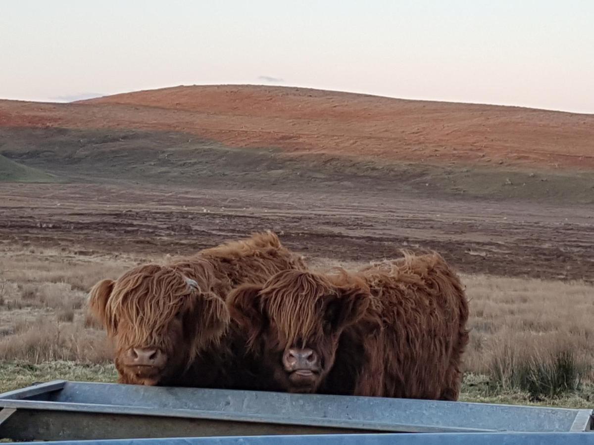 Innlands - North Skye Kilmaluag Eksteriør billede